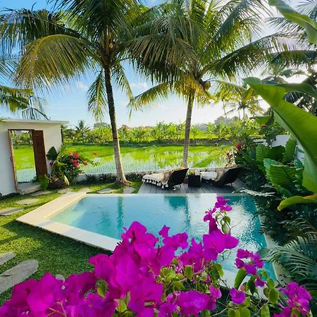 Villa Amara De'Vue Rice-Field Panoramic View W Pool Ig Убуд Экстерьер фото
