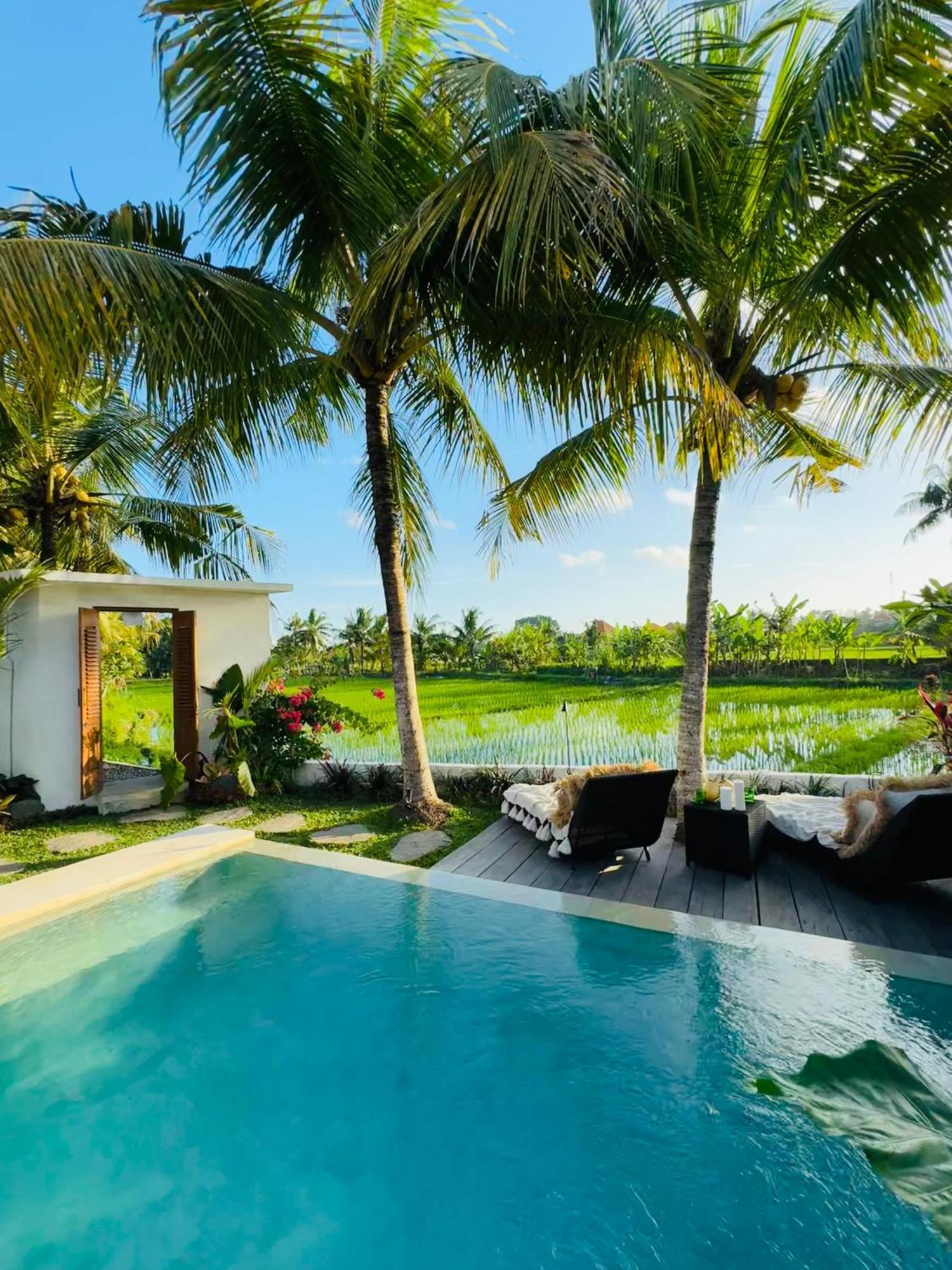 Villa Amara De'Vue Rice-Field Panoramic View W Pool Ig Убуд Экстерьер фото