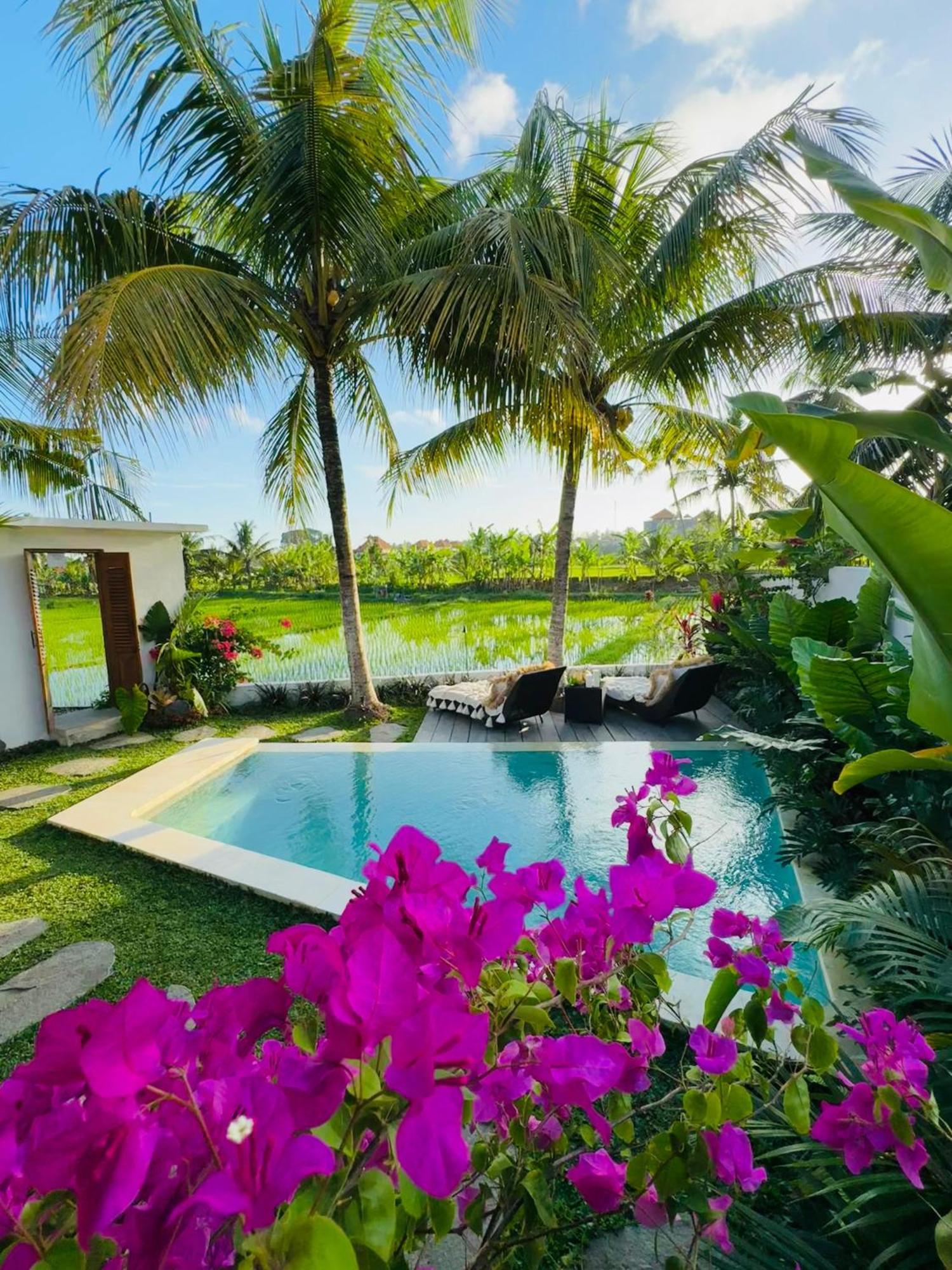 Villa Amara De'Vue Rice-Field Panoramic View W Pool Ig Убуд Экстерьер фото